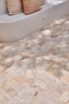 Natural petrified coral  stone Tiles 200mm x 100mm x 10mm Thick