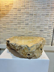 SIKA Fossilised Coral Basin